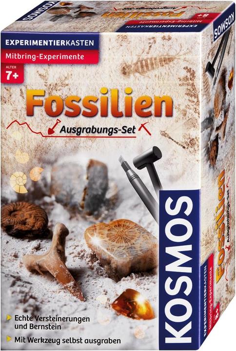 Actual product image Kosmos Fossils Excavation Set