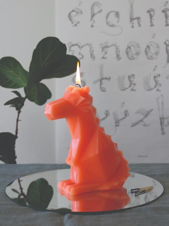 Produktbild 54Celsius PyroPet Dreki