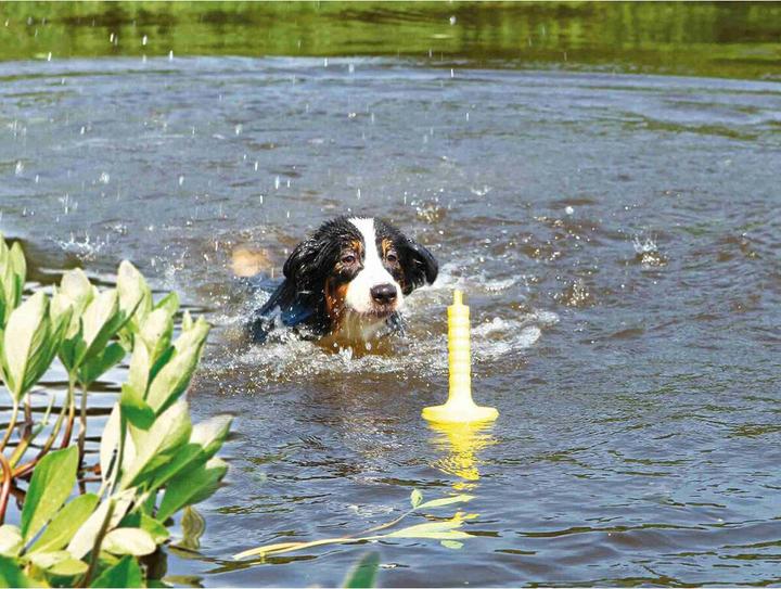 Produktbild Trixie Dog Activity Mot-Aqua 29cm