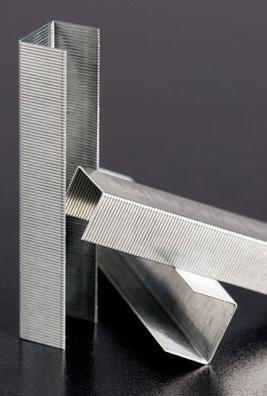 Actual product image Rapid Standard (1000x)