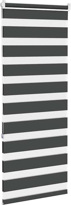 Produktbild vidaXL Zebra-Jalousie (65 x 150 cm)
