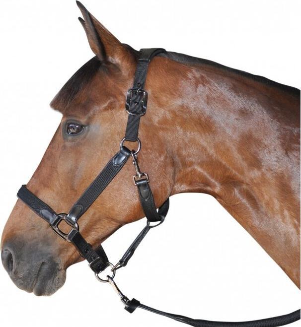 Produktbild Flags&Cup Halfter