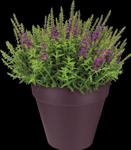 Actual product image Elho Loft Urban (20 cm)