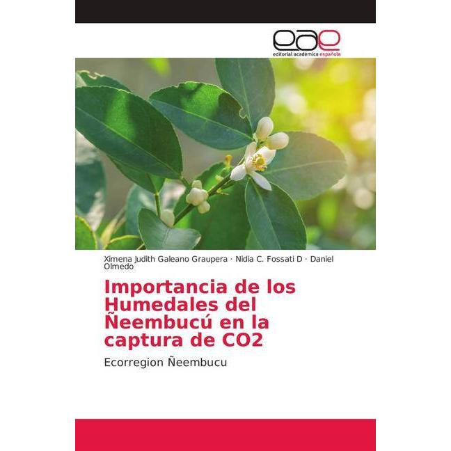 Importancia de los Humedales del Ñeembucú en la captura de CO2, Fachbücher von Daniel Olmedo, Nidia C. Fossati D, Ximena...
