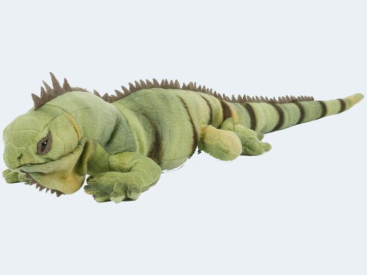 Actual product image Semo Iguana medium 55cm (55 cm)