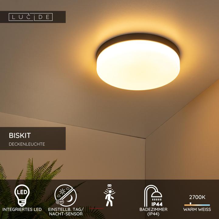 Image du produit Lucide Biskit (1500 lm)