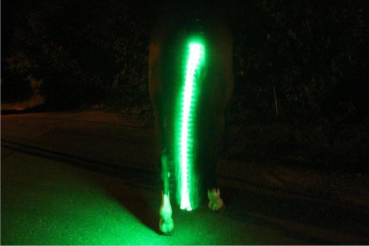 Image du produit Animal Light Eclairage LED de la queue Long 20