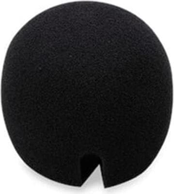 Actual product image Zoom SPH-2N (Remote control, Accessory kit)