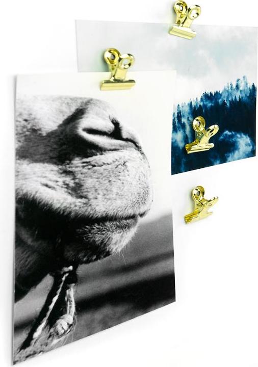 Actual product image Trendform mini graffa (4 x)