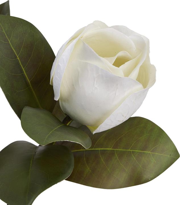 Image du produit Hill Interiors - Fleur artificielle MAGNOLIA (78 cm)