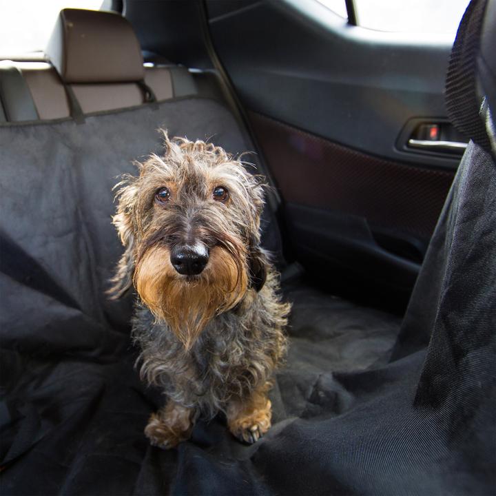 Actual product image Relaxdays Protective Car Seat Cover for Dogs (Dog)