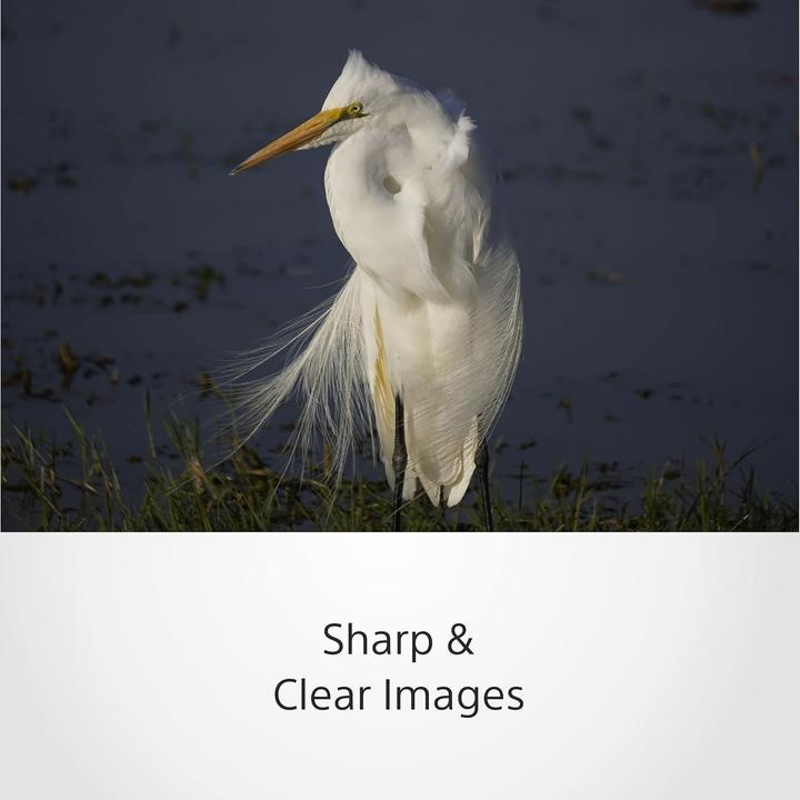 Actual product image Sony E 70-350mm f/4.5-6.3 G OSS (Sony E, APS-C / DX)