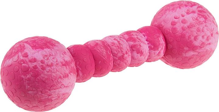 Produktbild Wolters Hunde-Spielzeug Aqua-Fun Gym, 23 cm (Apportieren)