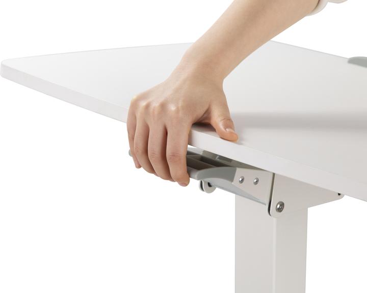 Produktbild Reflecta Dino