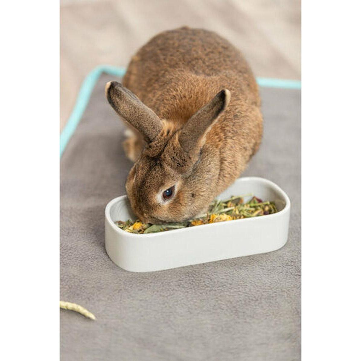 Gamelle ovale en céramique pour Lapin ou Rongeur - 600ml