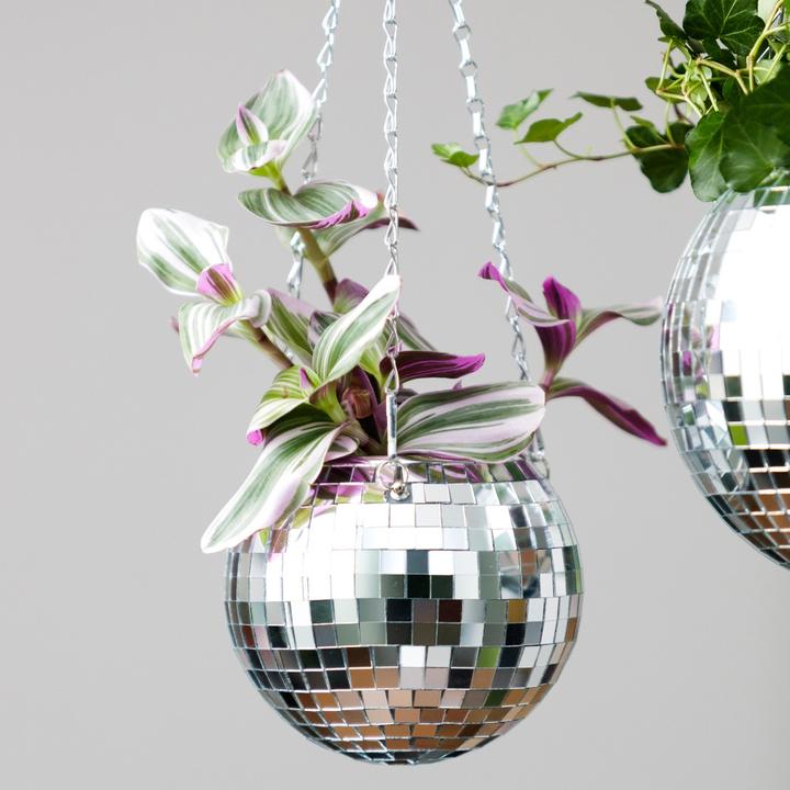 Image du produit Mags Fleurs disco