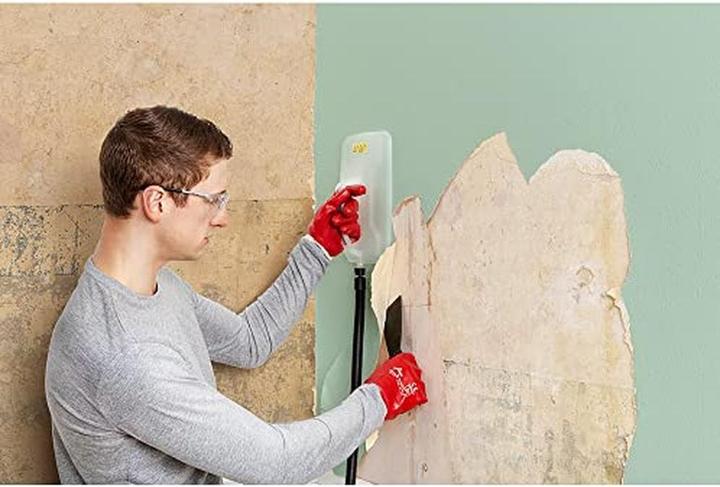 Actual product image Wagner SteamForce Plus (2000 W)