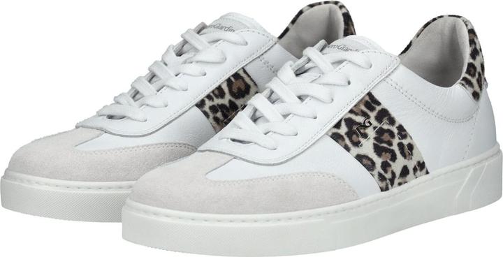 Actual product image Nero Giardini Sneaker (40)