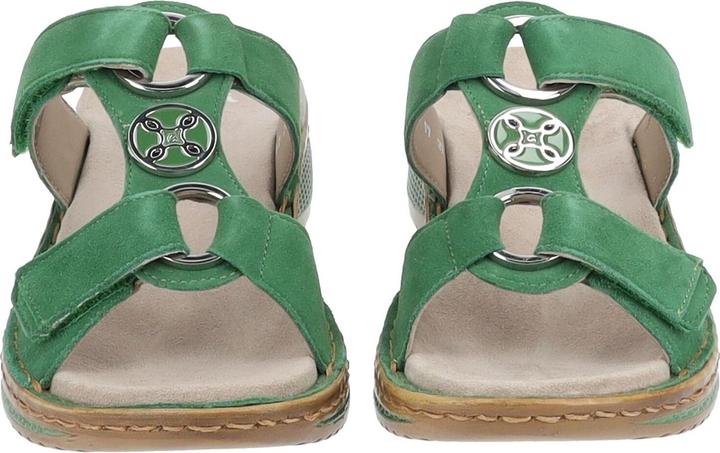 Image du produit Ara Hawaii (42)