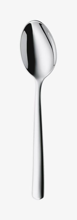 Actual product image WMF Boston (1 pcs., Scoops)