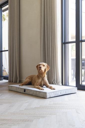 Actual product image Designed by Lotte Orthopaed cage cushion Ribbed (Dog)