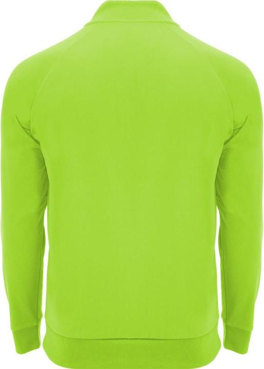 Immagine prodotto Alpinia Epiro Felpa Cerniera ad un quarto Manica Lunga Adulto Unisex (S)
