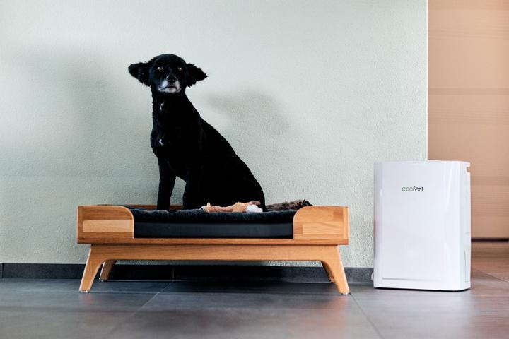 Immagine prodotto ecofort ecoQ DryAir 12L (30 m², 12 l/24h)