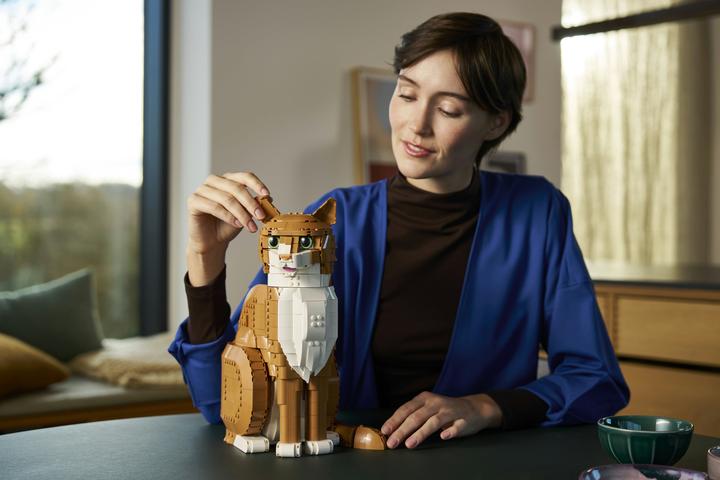 Image du produit LEGO Orange Cat (21376, LEGO Ideas)