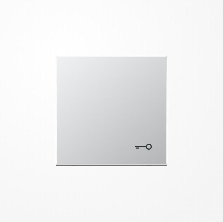 Actual product image JUNG Rocker switch LS alu wt Schl/door AL2990T
