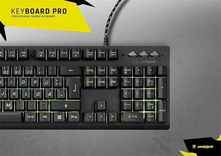 Actual product image Snakebyte Pro (CH, Cable)