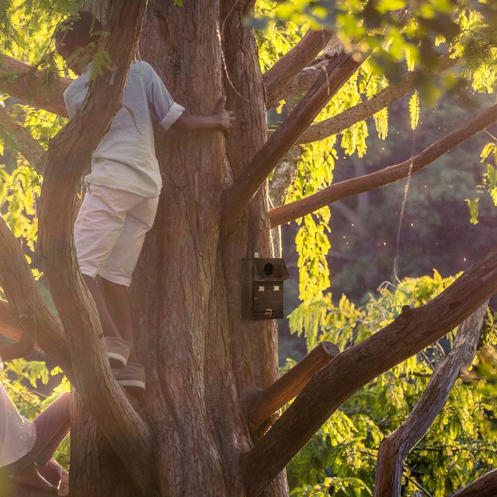 Immagine prodotto Relaxdays Cassetta nido