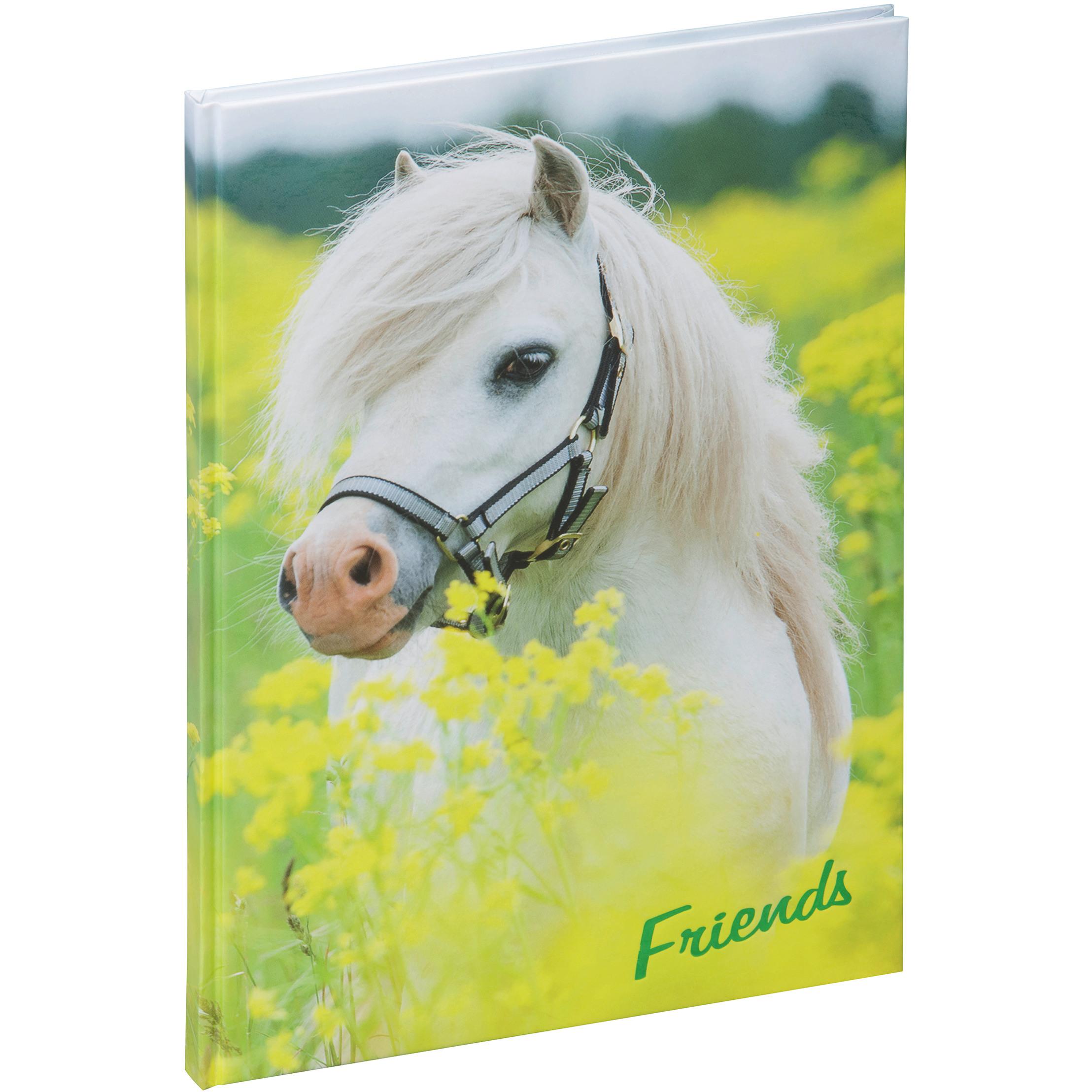 Thumbnail - Pagna, Fotoalbum, Freundebuch (150 x 220 mm)