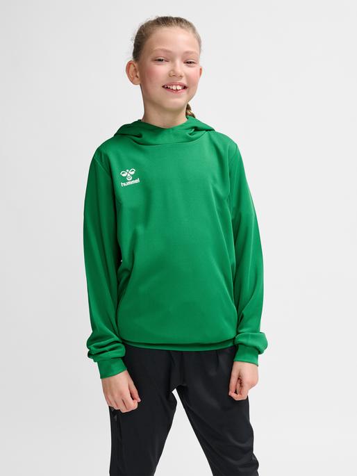 Produktbild hummel Hmlauthentic Pl Hoodie Kids (152)