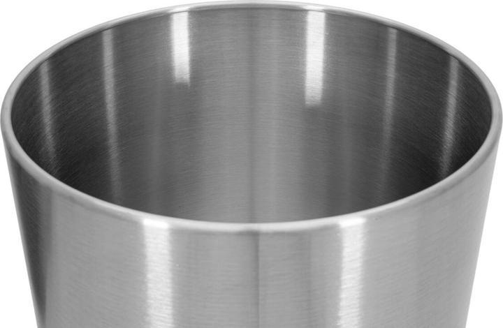 Actual product image Europalms Steelecht-35 Nova (35 cm)