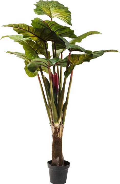Produktbild Kare Design Rainforest (160 cm)