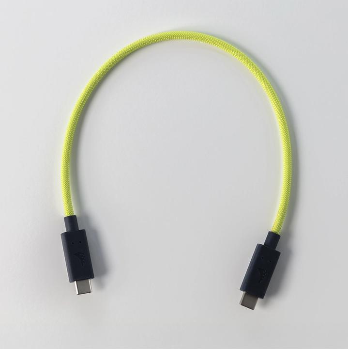 Image du produit Angelbird USB C — USB C (0.32 m, USB 4, 100 W)