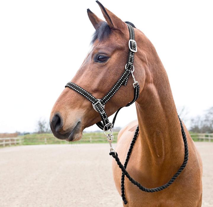 Image du produit Horze Cooper