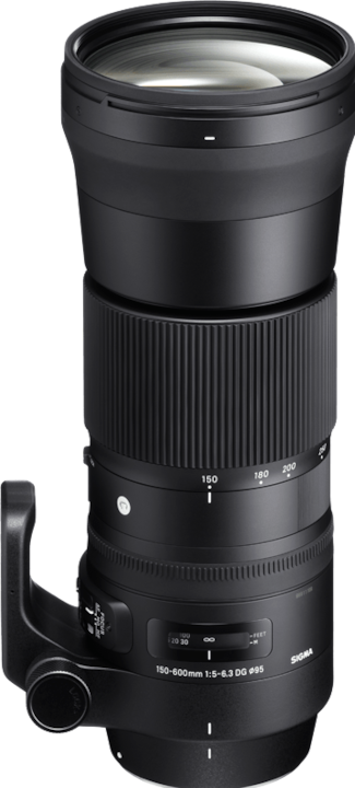 Produktbild Sigma 150-600mm f/5-6.3 DG OS HSM (C), Nikon F (Nikon F, Vollformat)