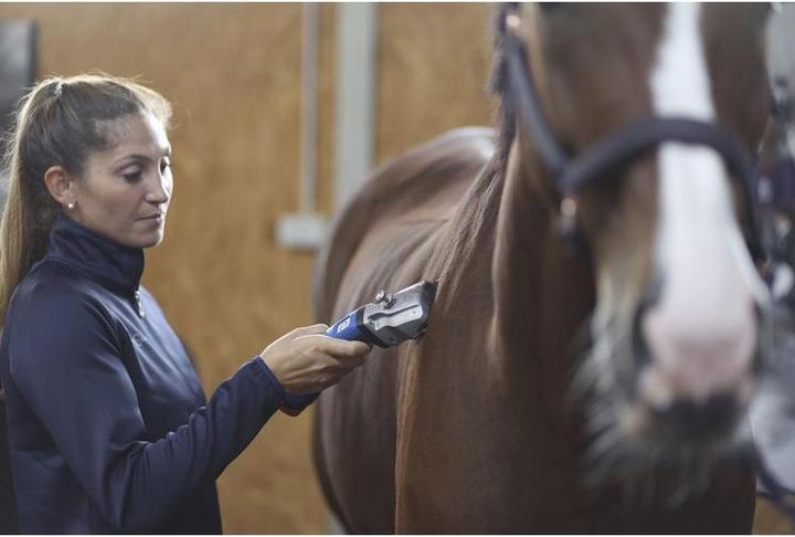 Actual product image Kerbl GT654-BL Bonum Aesculap cordless clipper for horse Including 1 battery, blue, 29.5cm x 7.5 (Vault)