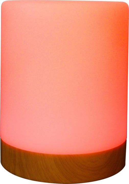 Actual product image RealPower Ambiente Light 200,RGB with remote control (Device-specific remote control, Infrared)