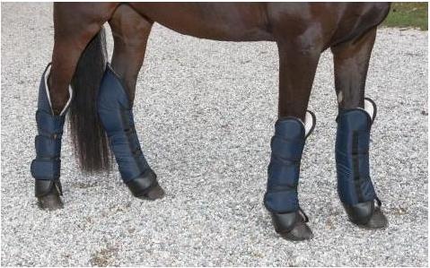 Actual product image Kerbl Dexter