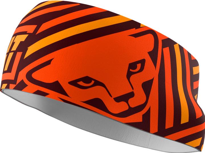 Actual product image Dynafit Graphic Performance Headband