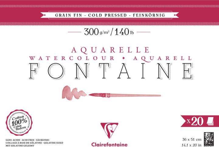Image du produit Clairefontaine - Blanc (300 g/m², 20 x)