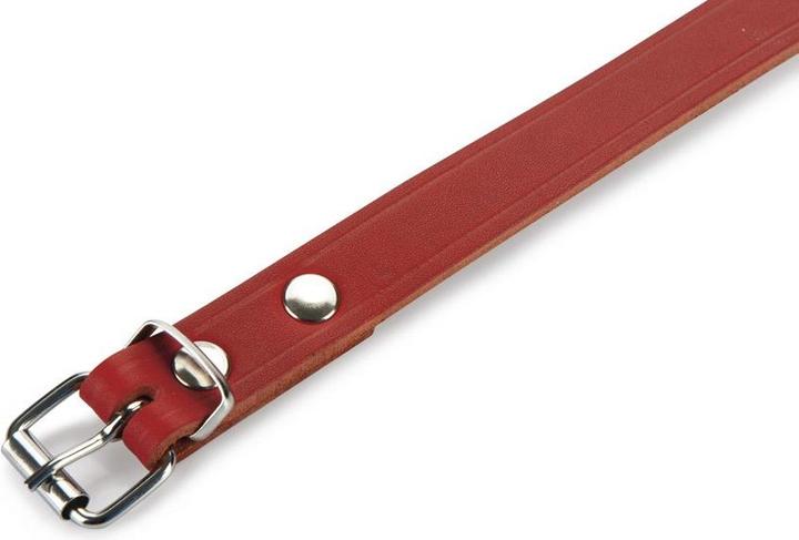 Produktbild Beeztees BZ LEDERHALSBAND ROT 57X20 (Hund, Allgemein)
