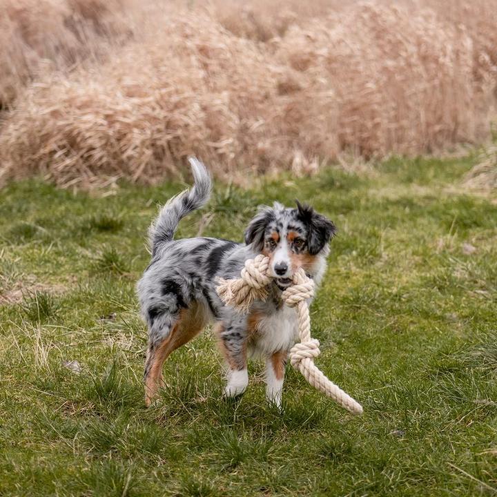 Actual product image Nobby Dog Toy Knot Rope, Nature (Dog chew toy)