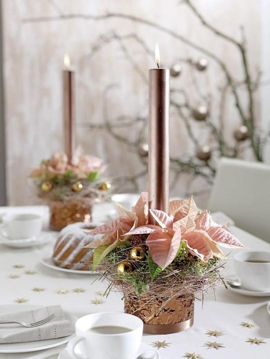 Actual product image Oasis IDEAL Cylinder