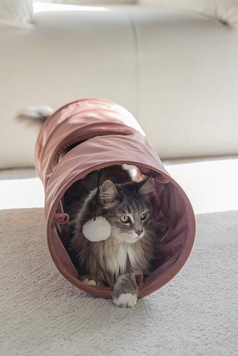 Actual product image Designed by Lotte Cat tunnel Cylla (Cat tunnel)