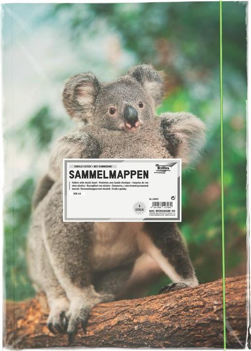Actual product image Folia Drawing folder BASIC "Jungle Cuties", cardboard, DIN A3 (A3)
