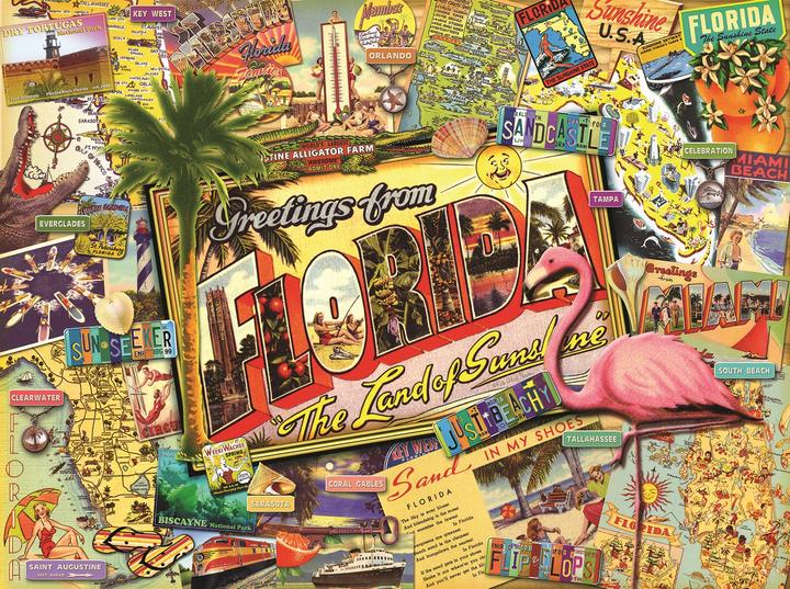 Immagine prodotto Sunsout Puzzle 1000 pezzi Ward Thacker Studio - Florida (1000 pezzi)