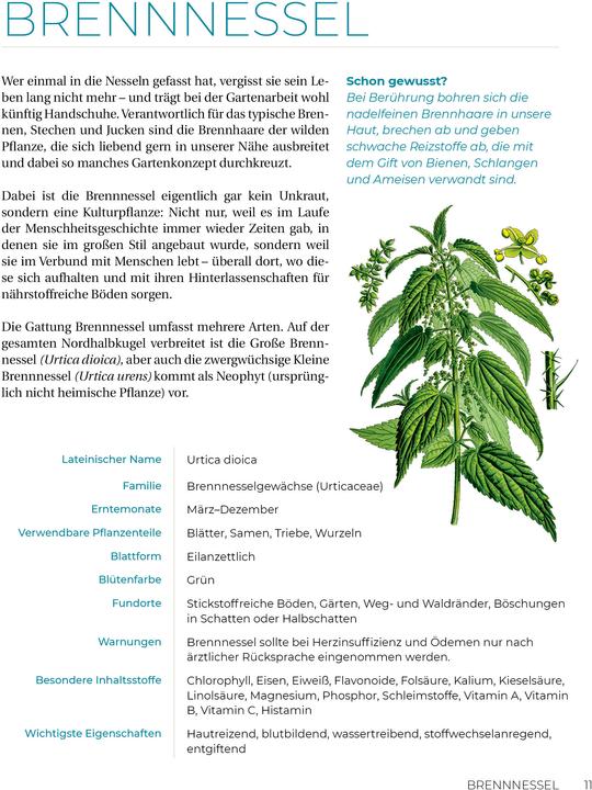 Produktbild Geliebtes Unkraut (Deutsch, smarticular Verlag, 2024)